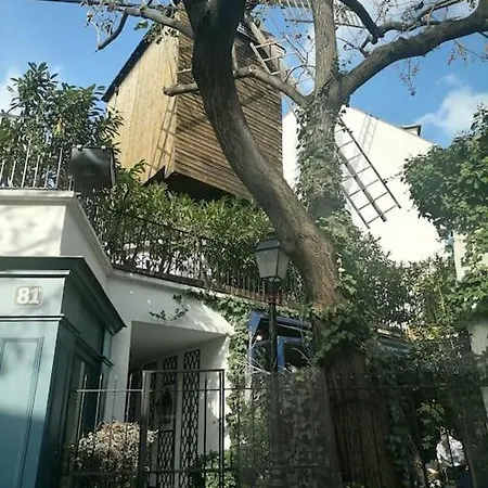 Lägenhet Avec Vue Exceptionnelle A Montmartre. *